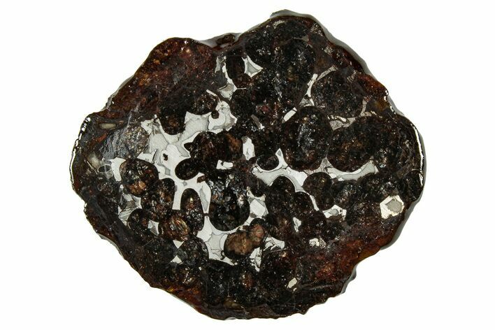 Sericho Pallasite Meteorite ( g) Slice - Kenya #335758